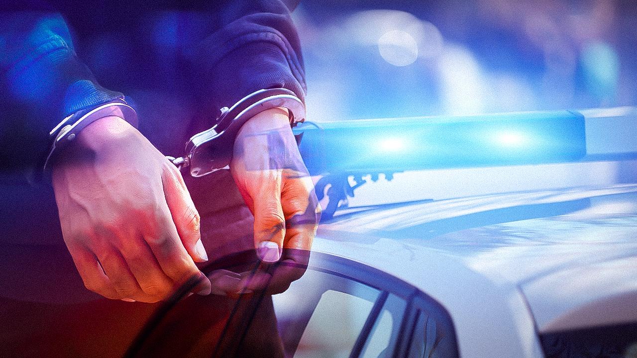 Van'daki köpek saldırısıyla ilgili bir belediye çalışanı gözaltına alındı