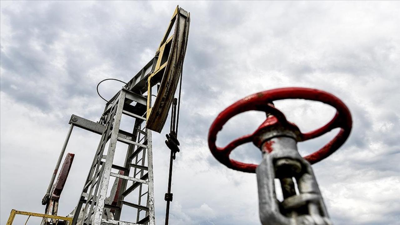 Japonya, Hürmüz gerilimi nedeniyle rezervlerinden 20 günlük petrolü piyasaya sürüyor