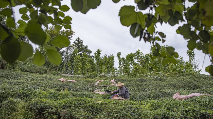 Karadeniz'de stratejik sektörlere yatırım yapan illere teşvik