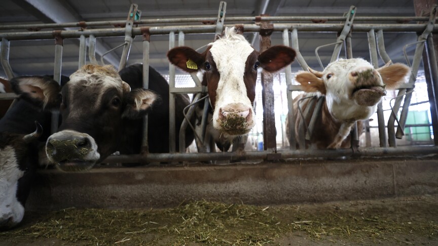 Çiftçilere 350 milyon 968 bin lira tarımsal destekleme ödemesi bugün yapılacak