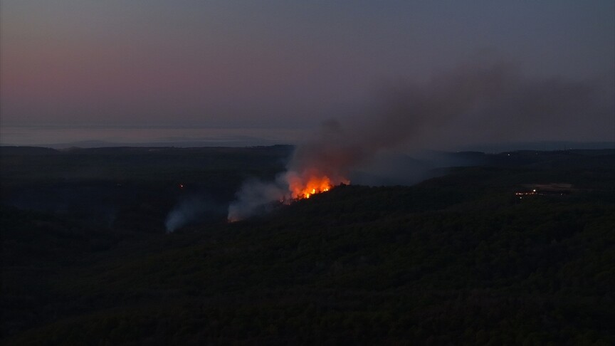 Beykoz'da ormanlık alanda çıkan yangına müdahale sürüyor