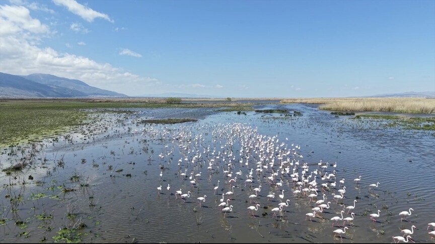 Kuraklık riski altındaki Eber Gölü'nün su seviyesi üç kat arttı