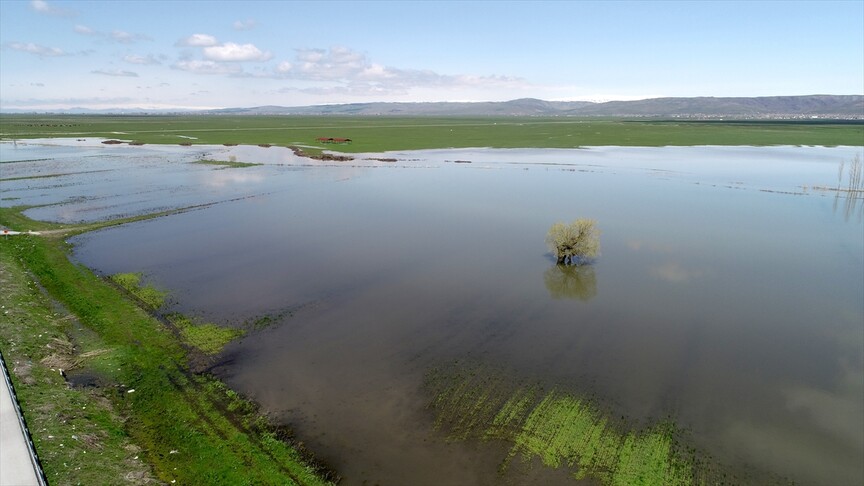 Muş'ta yağışlar geçen yıla göre yüzde 200 arttı